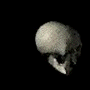 A spinning skull GIF from the early-web era.